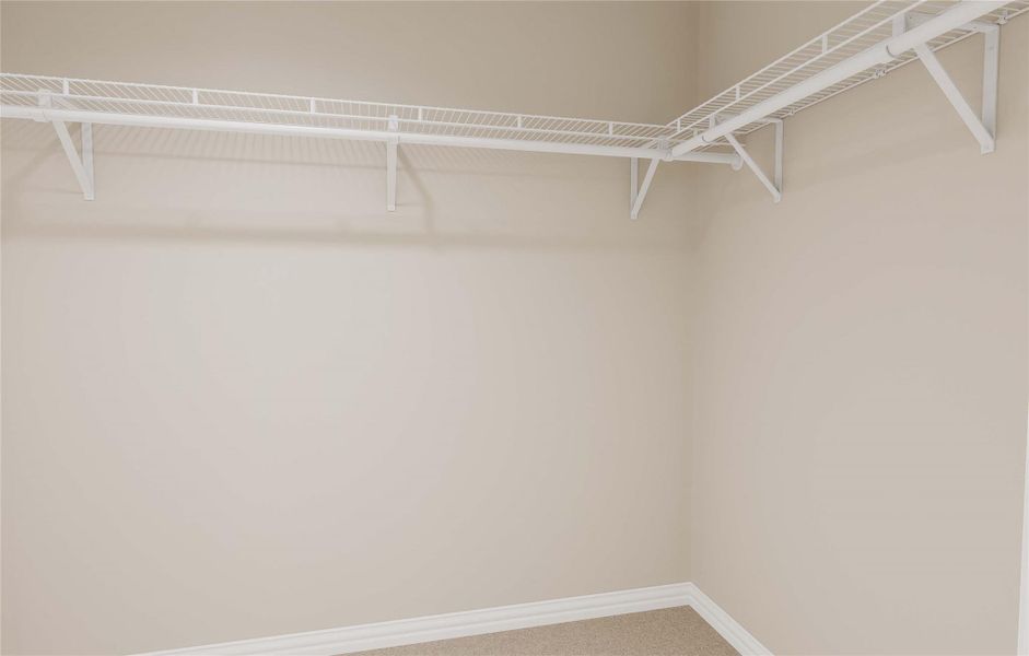 Spacious closet featuring carpet flooring Spacious closet featuring carpet flooring