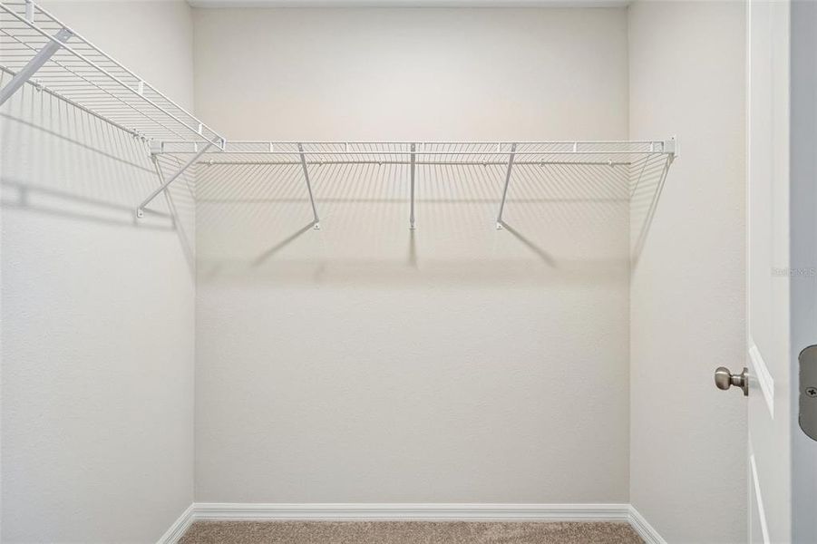 Spacious, unfurnished interior of a new home in Pasadena Ridge, Dade City (Image 21). Spacious, unfurnished interior of a new home in Pasadena Ridge, Dade City (Image 21).