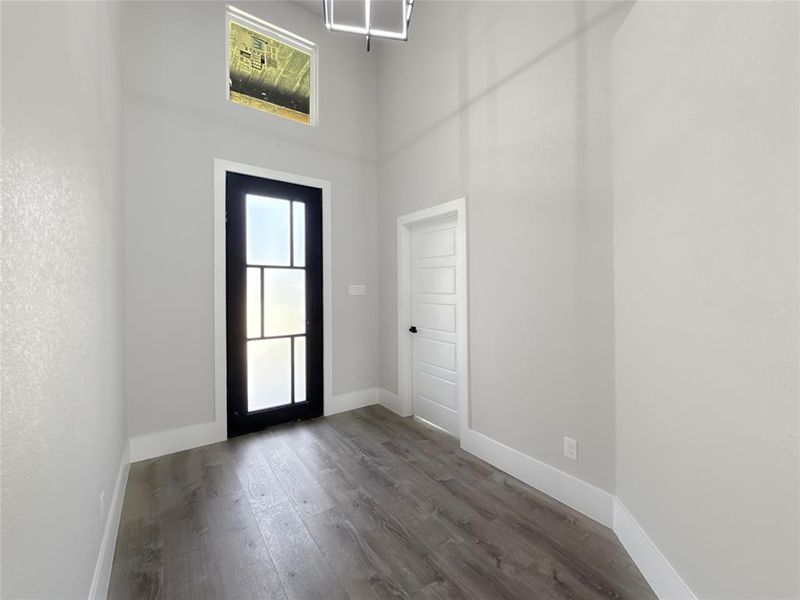 Entryway featuring a high ceiling and dark wood-type flooring