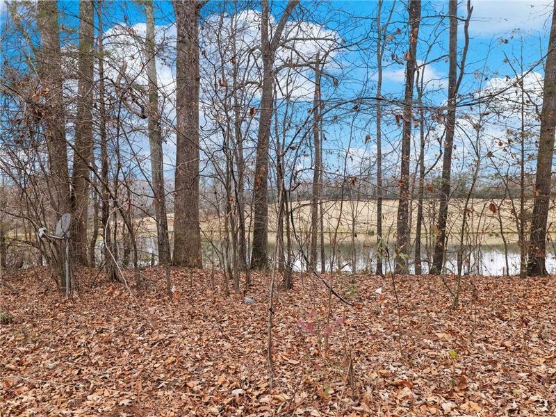 Natural landscape and outdoor views near in Gainesville (Image 38). Natural landscape and outdoor views near in Gainesville (Image 38).