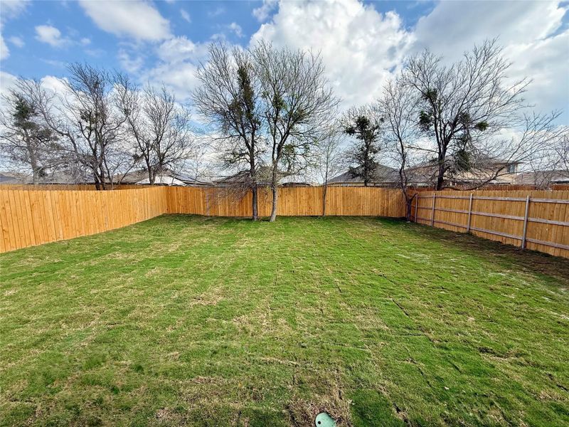 Exterior details and patio area of a home in Creeks Crossing, Elgin (Image 3).