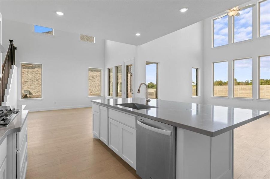 DAL_Painted Tree_Shepherd_4004 Gervais Drive (13) DAL_Painted Tree_Shepherd_4004 Gervais Drive (13)