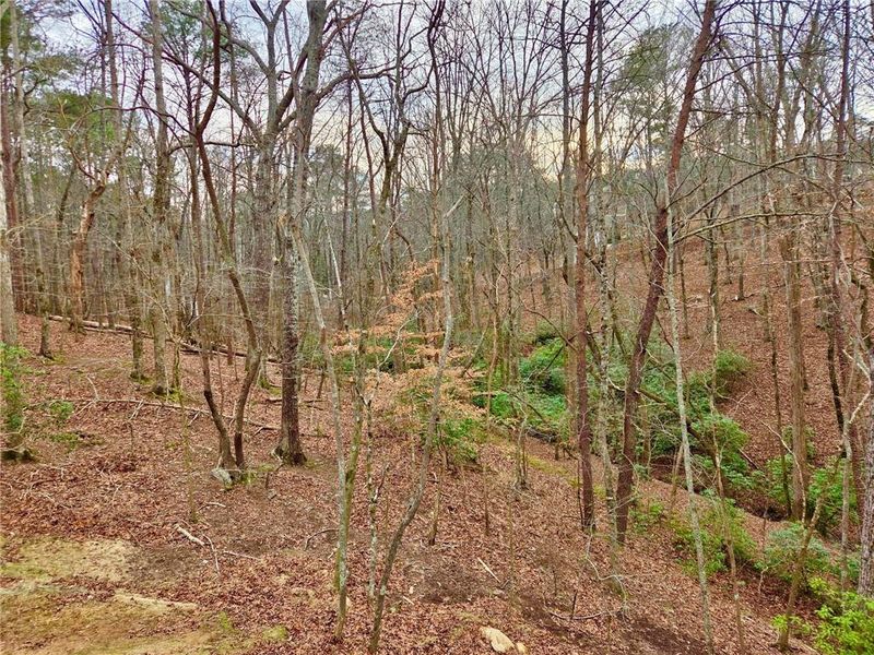 Natural landscape and outdoor views near  in Waleska (Image 27).