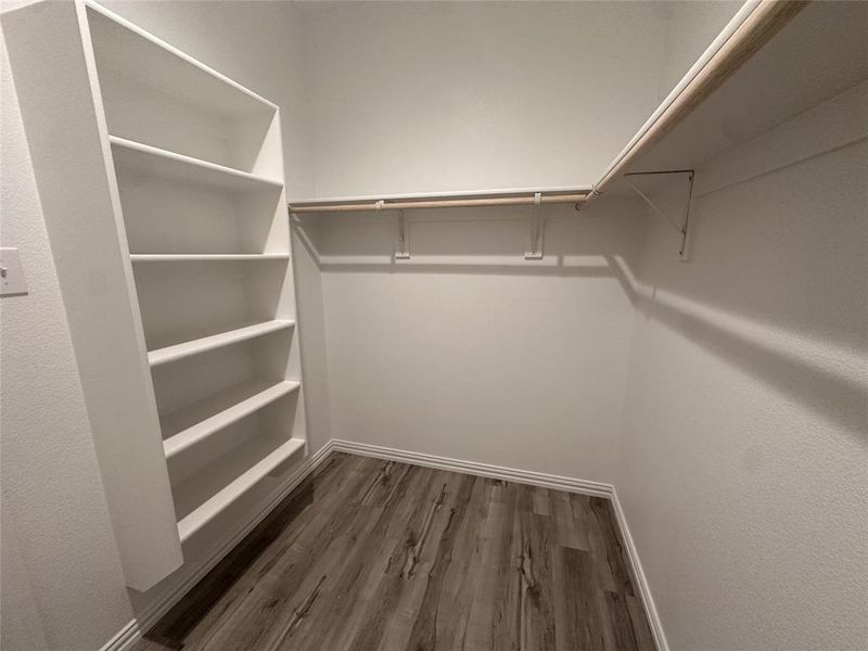 Spacious closet with dark hardwood / wood-style floors