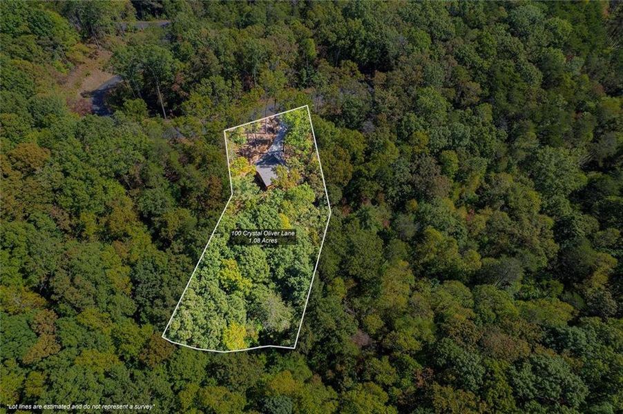 Natural landscape and outdoor views near  in Cherry Log (Image 28).