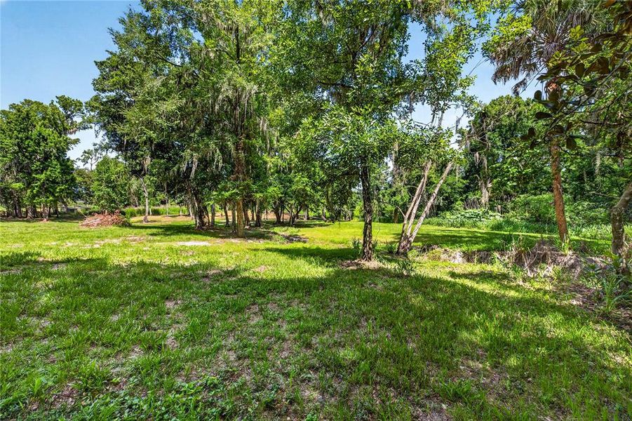 Natural landscape and outdoor views near  in Dade City (Image 62).