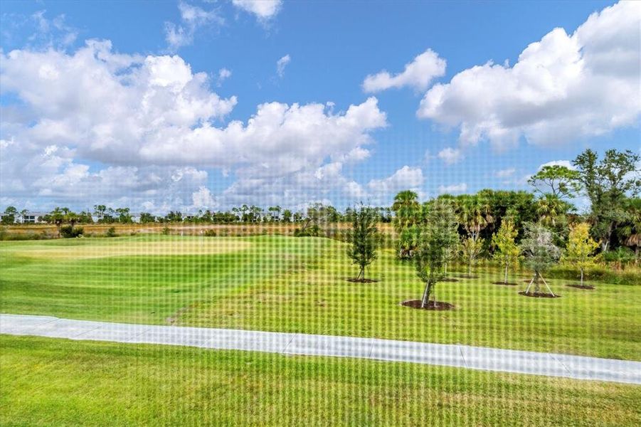 Natural landscape and outdoor views near  in Venice (Image 27).