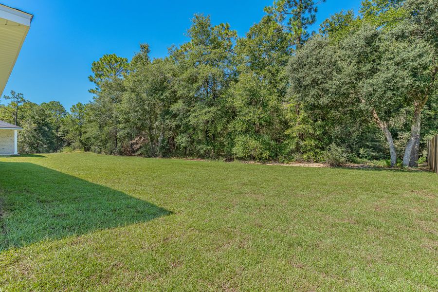 Natural landscape and outdoor views near Southern Day Chateau in Baker (Image 45).