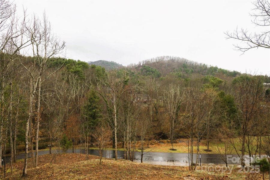 View from living/dining/porch/conservatory/primary bedroom