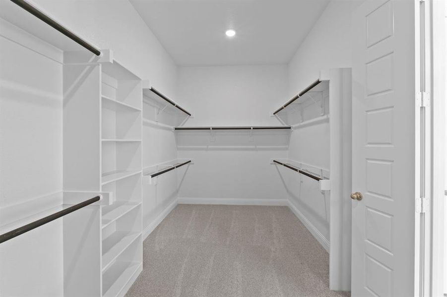 DAL_Painted Tree_Shepherd_4004 Gervais Drive (25) DAL_Painted Tree_Shepherd_4004 Gervais Drive (25)