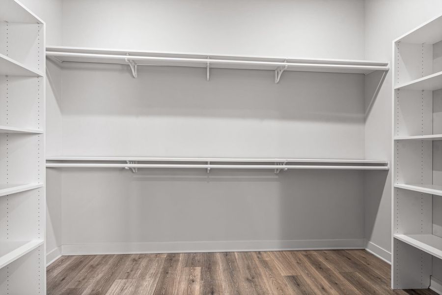 Dedicated closet space featuring wood-finish flooring