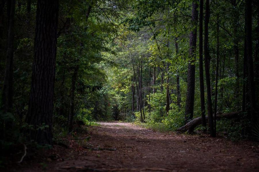 Miles of natural trails that will make you feel like youre in a national park!