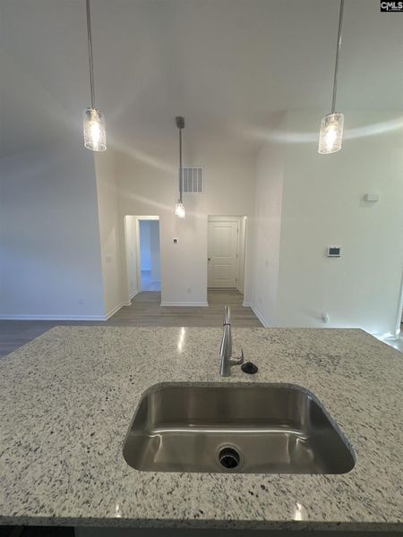 Close-up of interior finishes inside a home in Piney Woods Bluff, Columbia (Image 10).