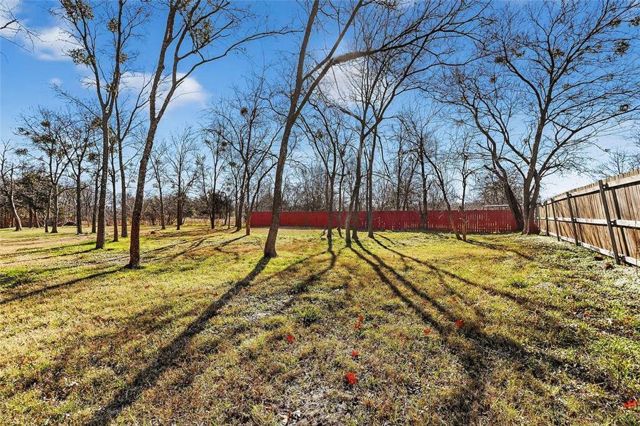 Natural landscape and outdoor views near  in Greenville (Image 9).