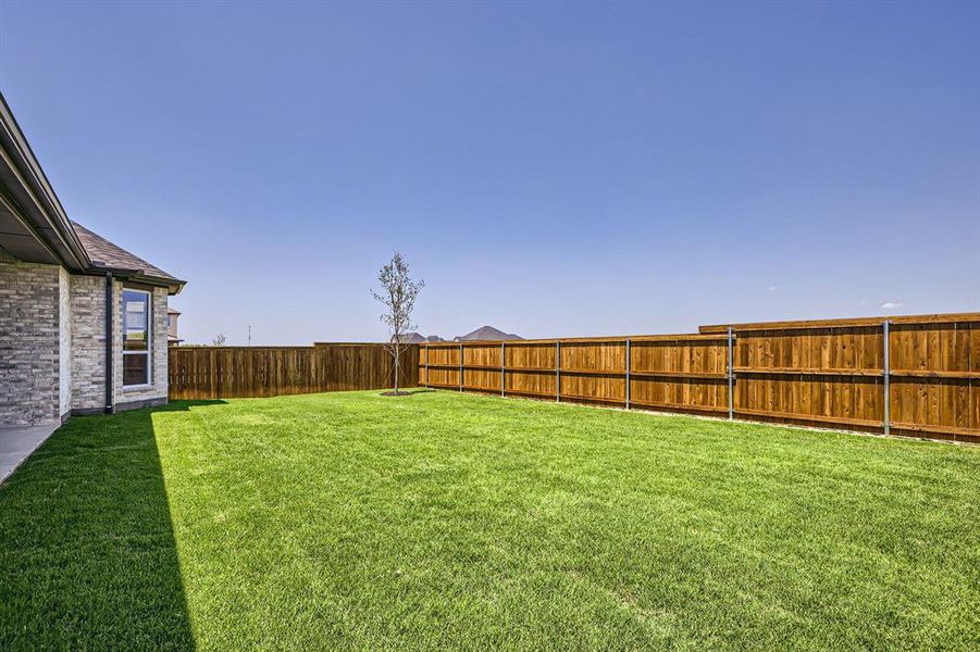 View of yard View of yard