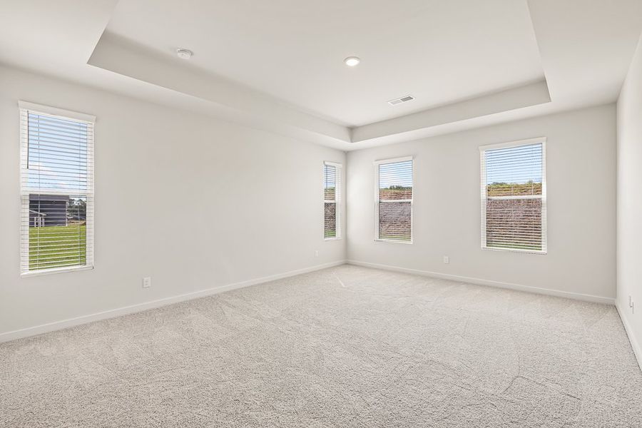 A room with a carpet and windows.