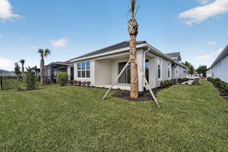 Exterior details and patio area of a home in Esplanade at Wiregrass Ranch, Wesley Chapel (Image 3).
