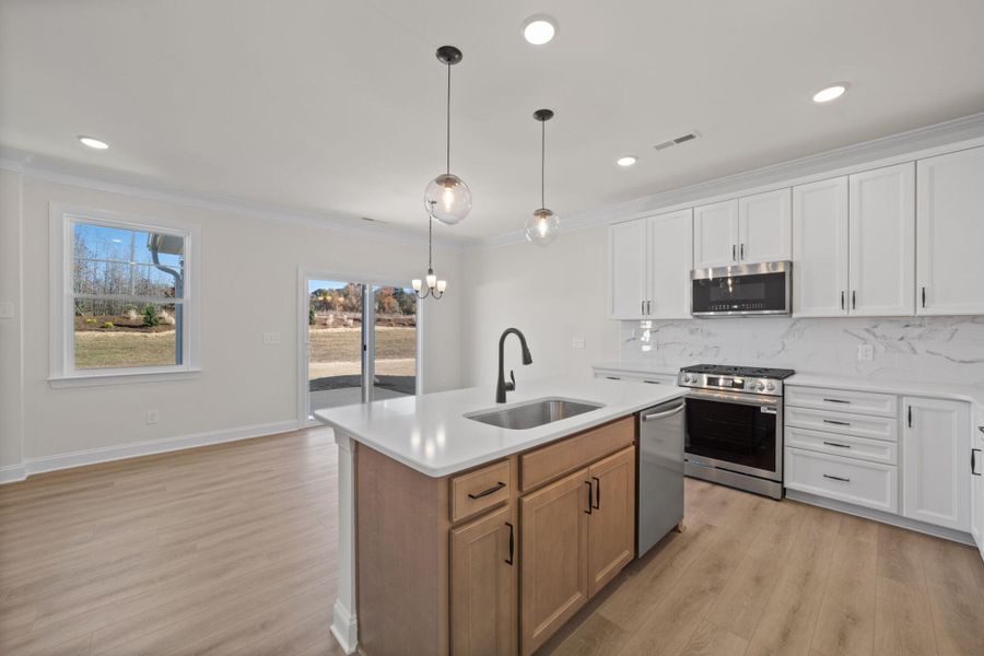 Furnished interior view inside a new home in Monterra, Kernersville (Image 7).