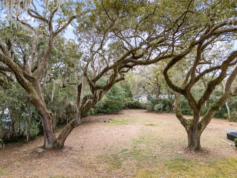 Natural landscape and outdoor views near  in Mount Pleasant (Image 11).