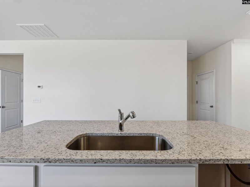 Close-up of interior finishes inside a home in Old Charleston Acres, Pelion (Image 14).