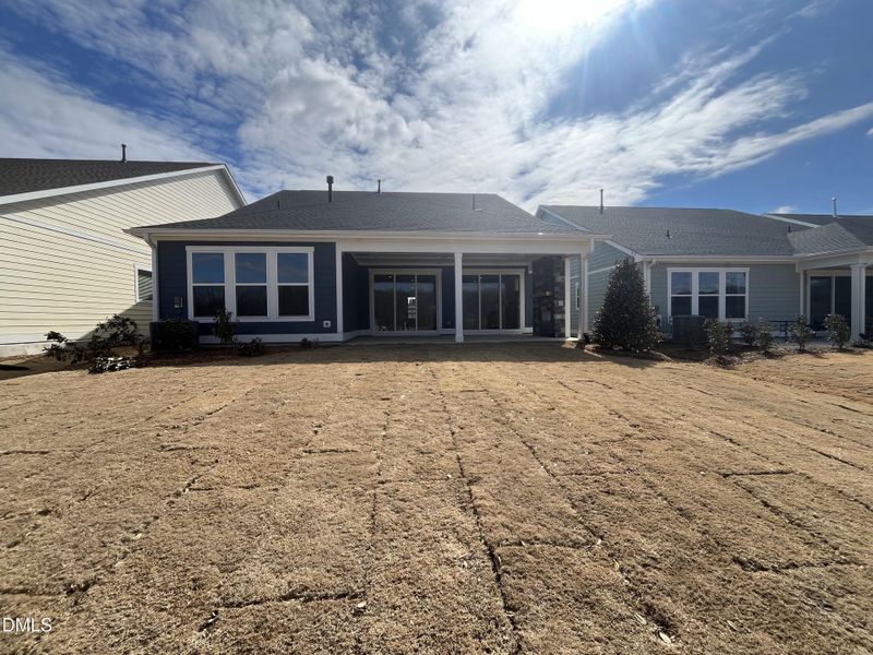 307 rear yard 307 rear yard