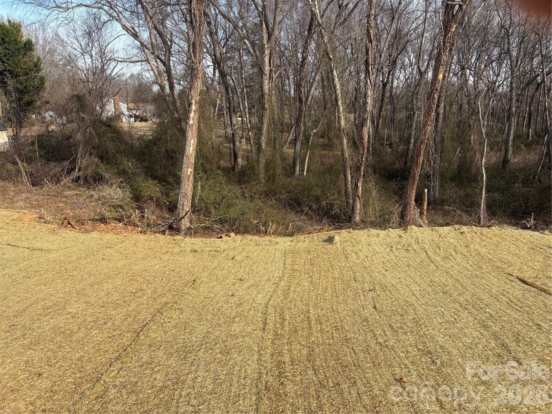 Natural landscape and outdoor views near  in Statesville (Image 19).