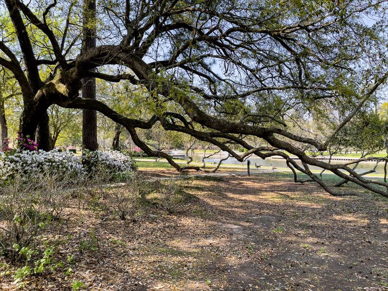 Natural landscape and outdoor views near  in North Charleston (Image 41).