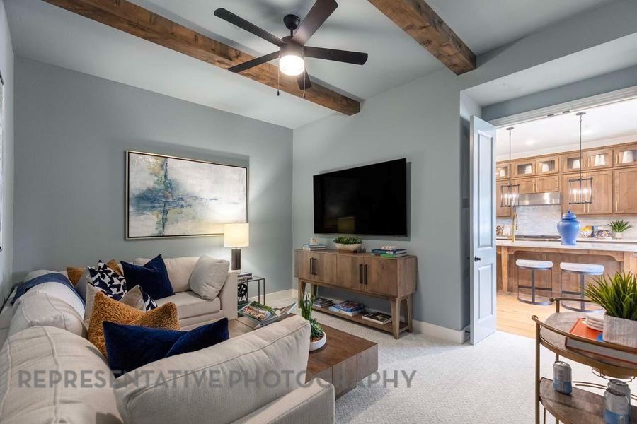 Entertainment Room Entertainment Room