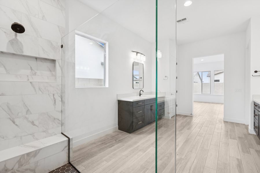Owner's Bath