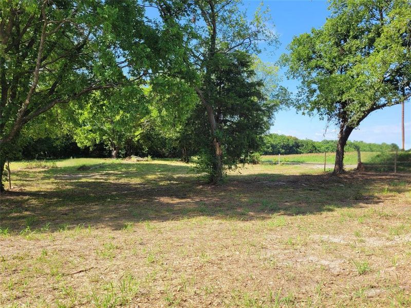 View of green lawn View of green lawn