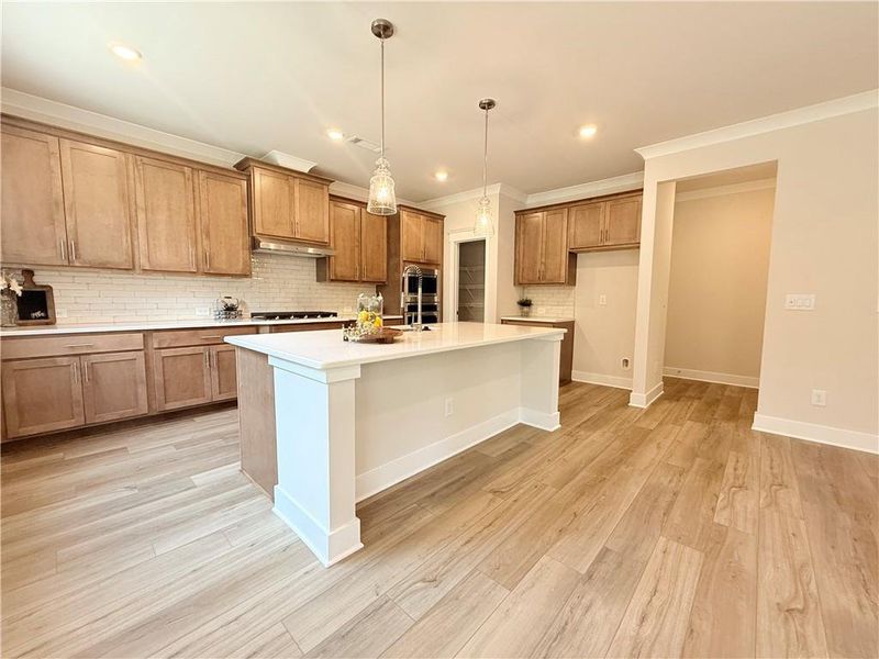 Furnished interior view inside a new home in Ponderosa Farms Reserve, Gainesville (Image 13).
