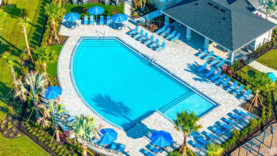 Community amenities in Indigo Creek, Apollo Beach (Image 61).