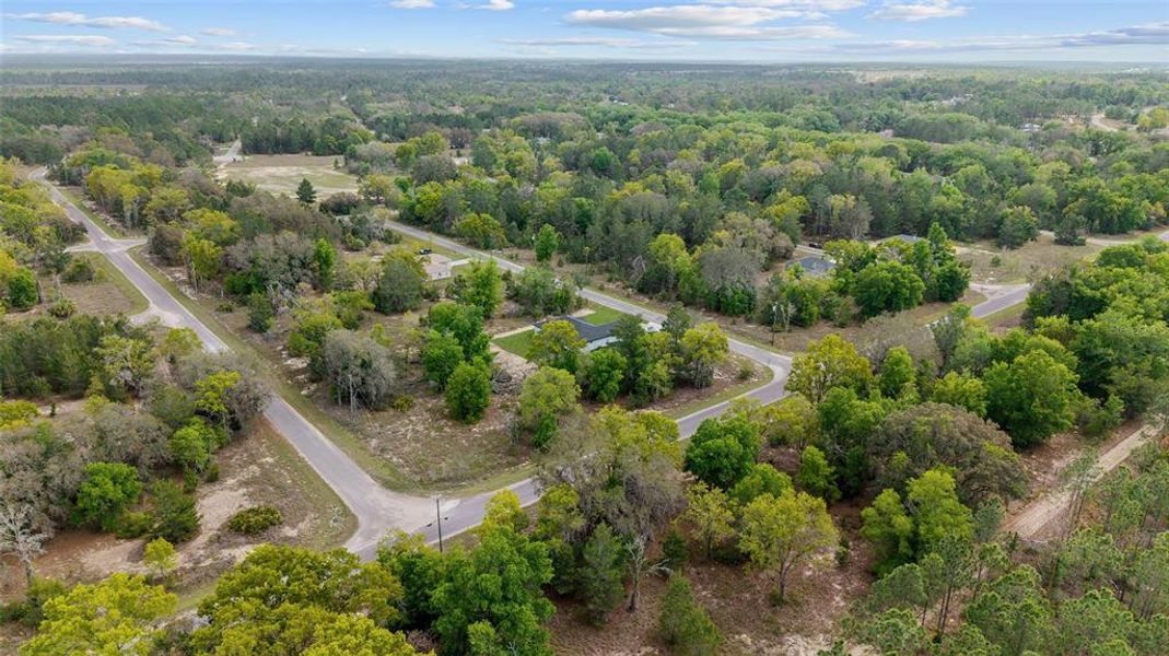 Natural landscape and outdoor views near  in Ocklawaha (Image 47).