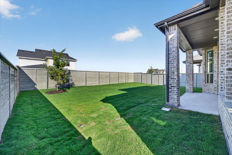 Backyard Backyard