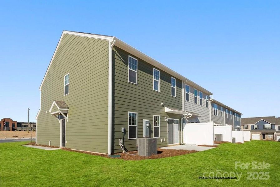 Cypress Back Cypress Back