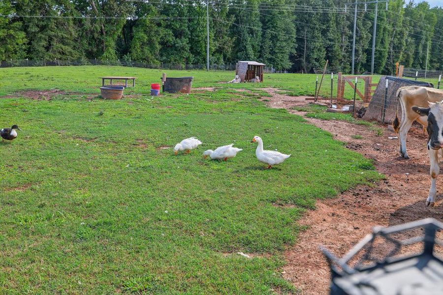 Image 41 of a home in .