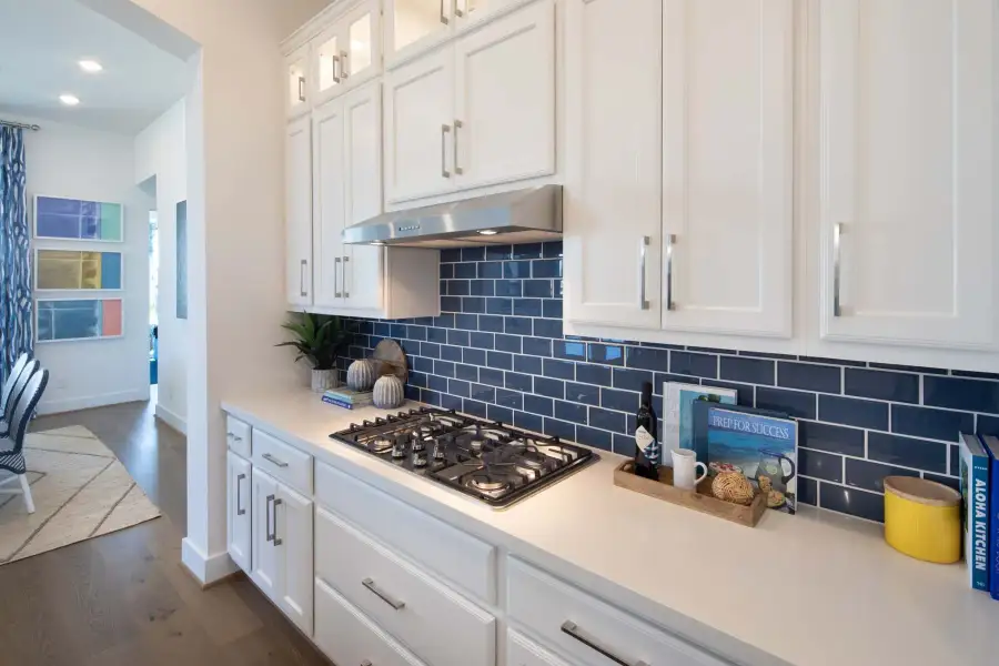 Representative Kitchen - some options shown