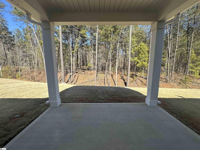 Exterior details and patio area of a home in Shiloh Trail, Wellford (Image 4).