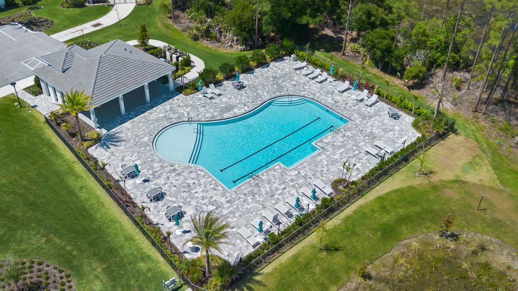 Aerial Community Pool Aerial Community Pool