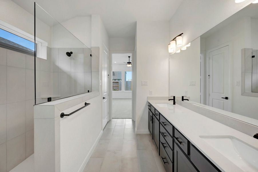 Owner's Bath