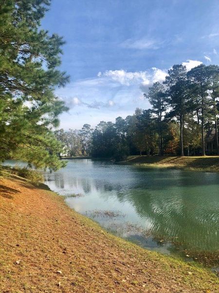 Image 40 of a home in .