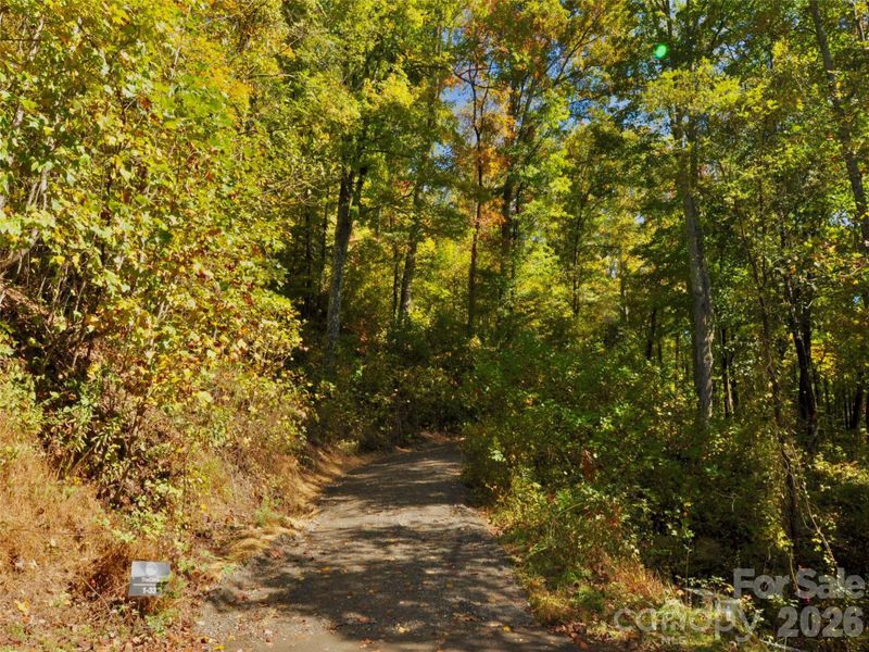 Natural landscape and outdoor views near in Arden (Image 16). Natural landscape and outdoor views near in Arden (Image 16).
