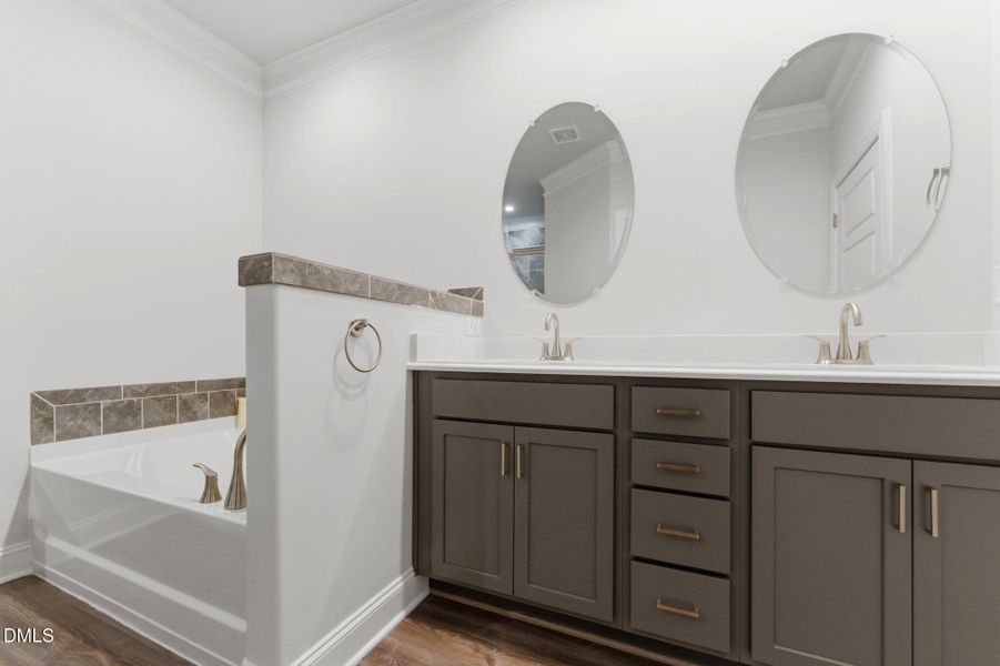 34-web-or-mls-DSC05765