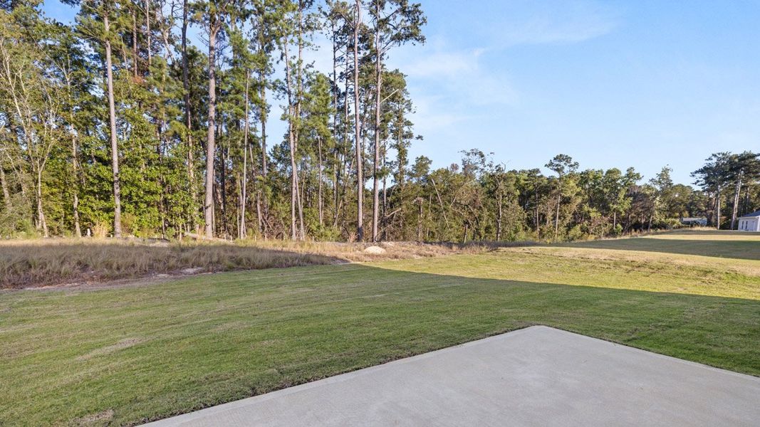 Outdoor and nature views near homes built from the Calloway 3 by D.R. Horton in Byrd Village, Graniteville (Image 24).