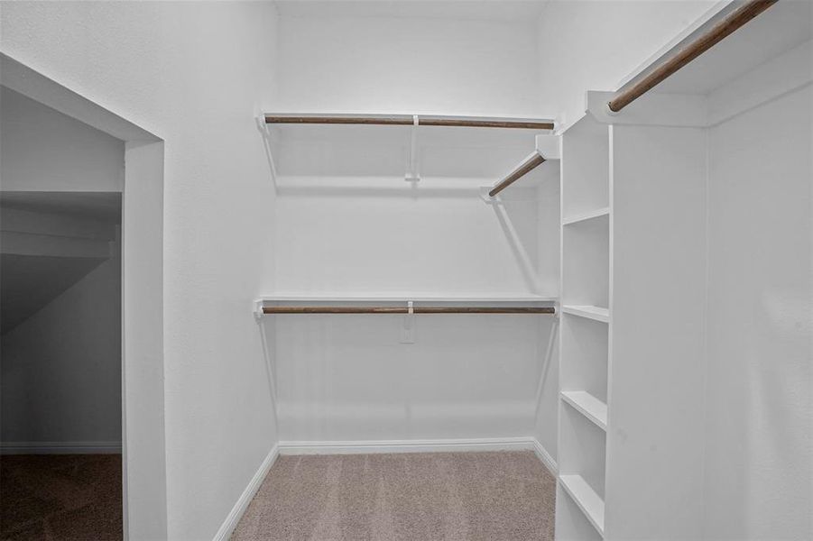 Spacious closet with carpet