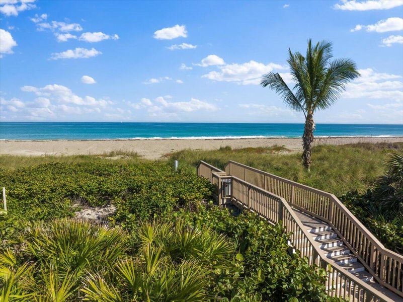 49-DJI_20260106125257_0339_D