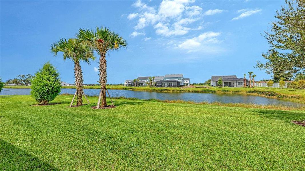 Natural landscape and outdoor views near Gracewater at Sarasota in Sarasota (Image 42).