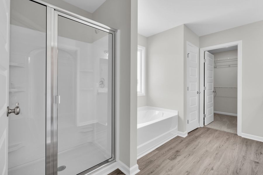 Image 40 representing the The Palmyra by RTS Homes in Doctor's Creek, Ludowici, GA.