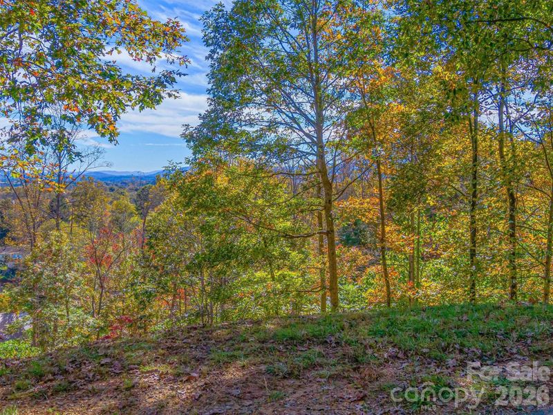 Natural landscape and outdoor views near in Asheville (Image 17). Natural landscape and outdoor views near in Asheville (Image 17).