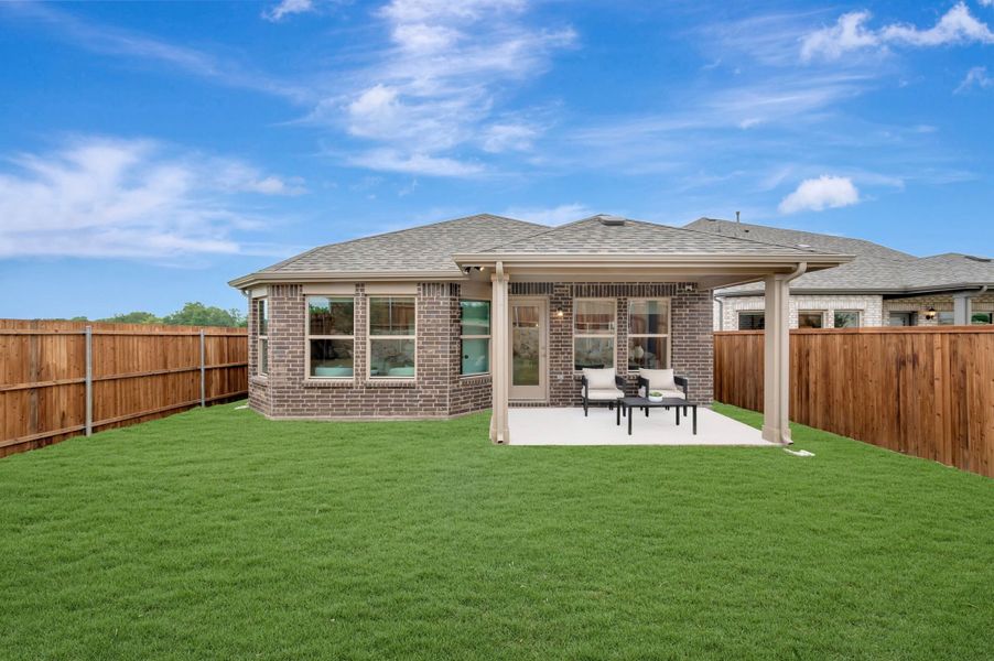 Backyard Backyard